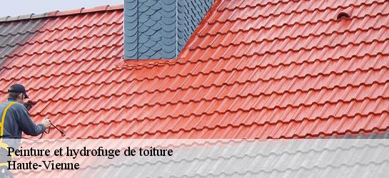 Peinture et hydrofuge de toiture Haute-Vienne 