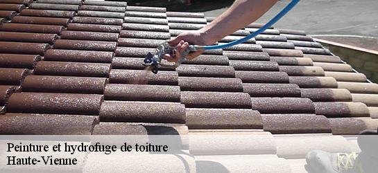 Peinture et hydrofuge de toiture Haute-Vienne 