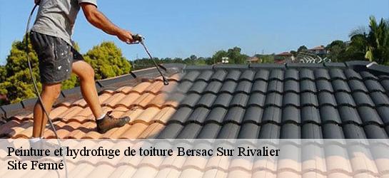 Peinture et hydrofuge de toiture 87370