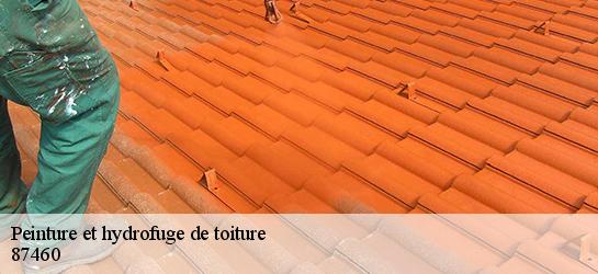 Peinture et hydrofuge de toiture 87460