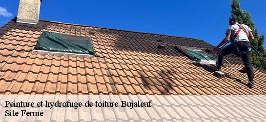 Peinture et hydrofuge de toiture 87460