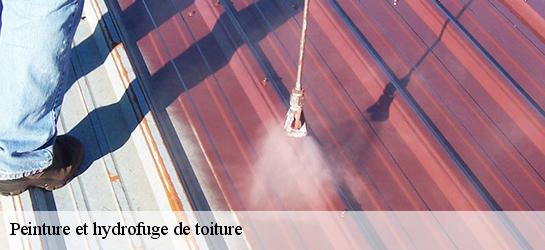 Peinture et hydrofuge de toiture 87460