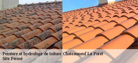 Peinture et hydrofuge de toiture  87130