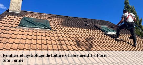 Peinture et hydrofuge de toiture  87130
