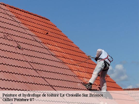 Peinture et hydrofuge de toiture la-croisille-sur-briance-87130 Gilles Peinture 87