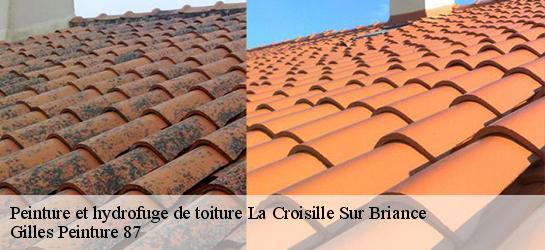 Peinture et hydrofuge de toiture 87130