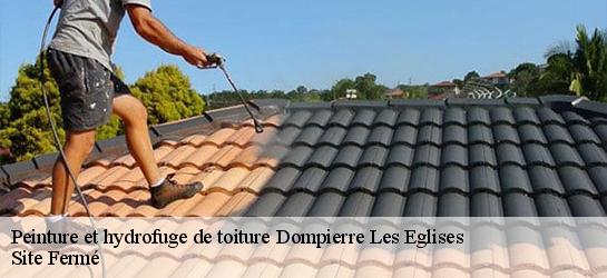 Peinture et hydrofuge de toiture 87190