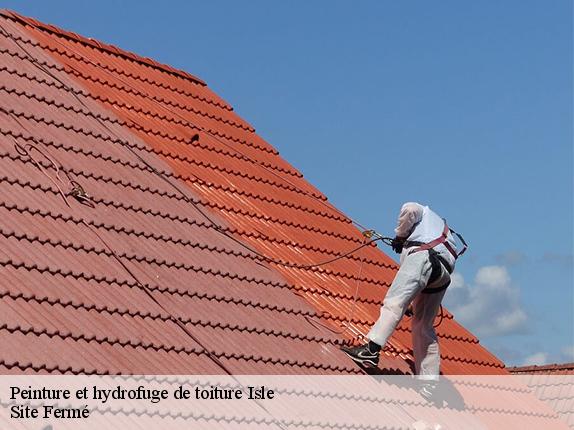 Peinture et hydrofuge de toiture isle-87170 Site Fermé