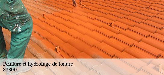 Peinture et hydrofuge de toiture 87800