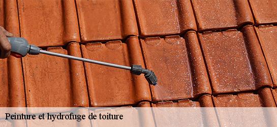 Peinture et hydrofuge de toiture  87340