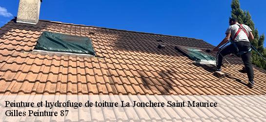 Peinture et hydrofuge de toiture  87340