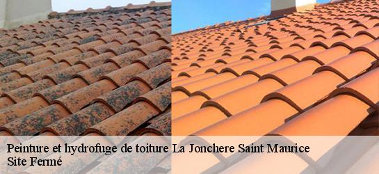 Peinture et hydrofuge de toiture 87340
