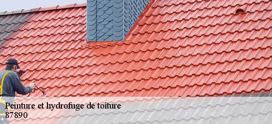 Peinture et hydrofuge de toiture 87890