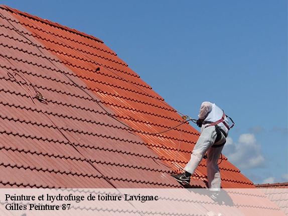 Peinture et hydrofuge de toiture lavignac-87230 Gilles Peinture 87