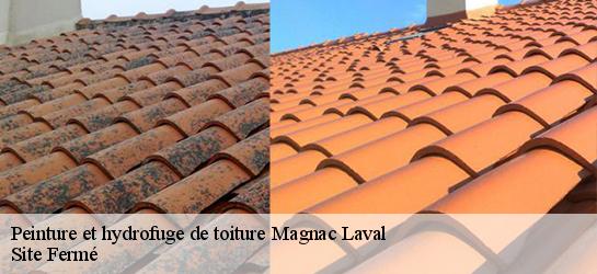 Peinture et hydrofuge de toiture 87190
