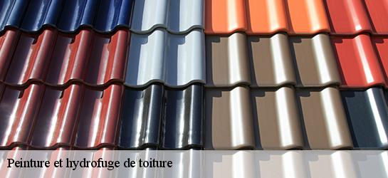 Peinture et hydrofuge de toiture 87190