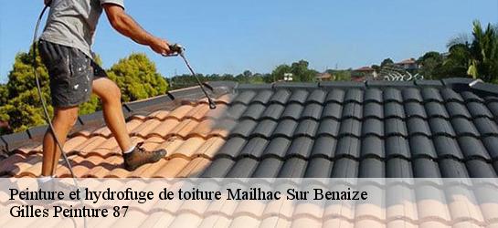 Peinture et hydrofuge de toiture 87160