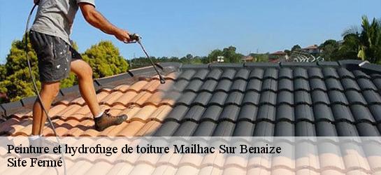 Peinture et hydrofuge de toiture 87160