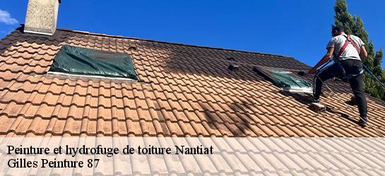Peinture et hydrofuge de toiture 87140