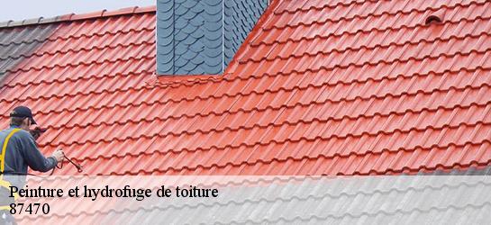 Peinture et hydrofuge de toiture 87470