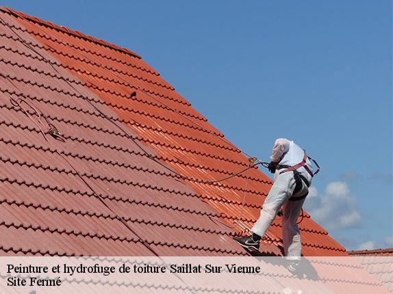 Peinture et hydrofuge de toiture saillat-sur-vienne-87720 Site Fermé