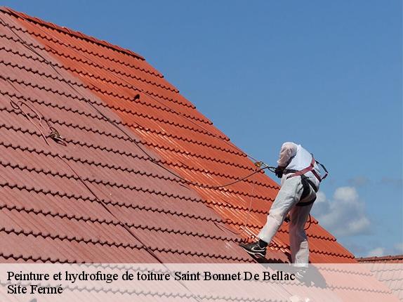 Peinture et hydrofuge de toiture saint-bonnet-de-bellac-87300 Site Fermé