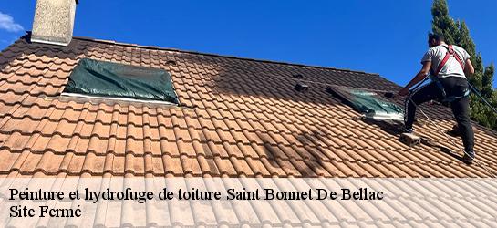 Peinture et hydrofuge de toiture 87300