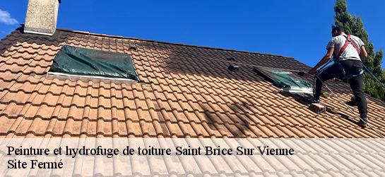 Peinture et hydrofuge de toiture 87200