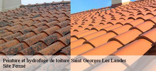 Peinture et hydrofuge de toiture 87160