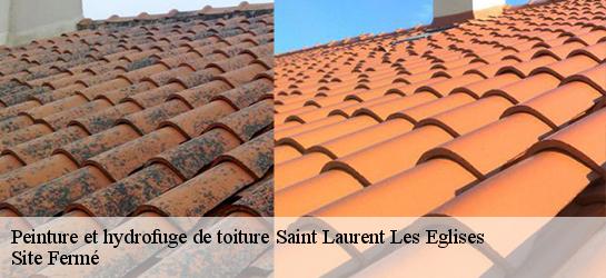 Peinture et hydrofuge de toiture  87340