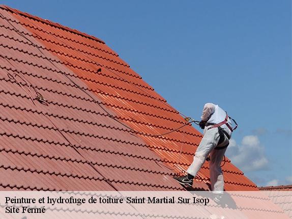 Peinture et hydrofuge de toiture saint-martial-sur-isop-87330 Site Fermé