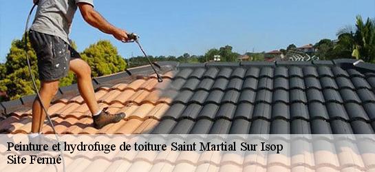 Peinture et hydrofuge de toiture 87330