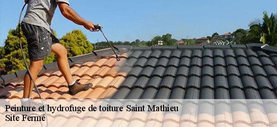 Peinture et hydrofuge de toiture  87440