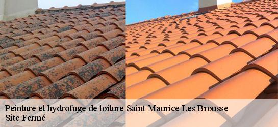 Peinture et hydrofuge de toiture  87800