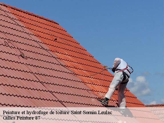 Peinture et hydrofuge de toiture saint-sornin-leulac-87290 Gilles Peinture 87