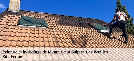 Peinture et hydrofuge de toiture  87160