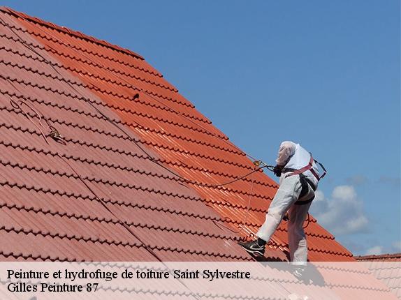 Peinture et hydrofuge de toiture saint-sylvestre-87240 Gilles Peinture 87