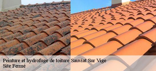 Peinture et hydrofuge de toiture 87400