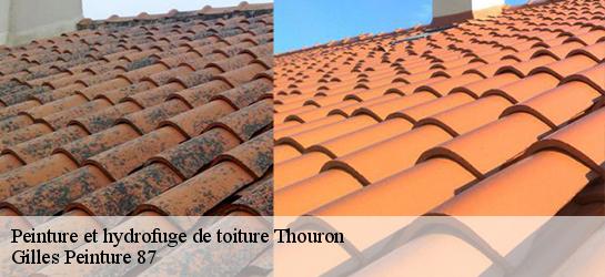 Peinture et hydrofuge de toiture 87140