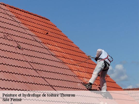 Peinture et hydrofuge de toiture thouron-87140 Site Fermé