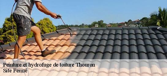 Peinture et hydrofuge de toiture 87140