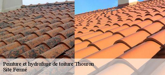 Peinture et hydrofuge de toiture 87140