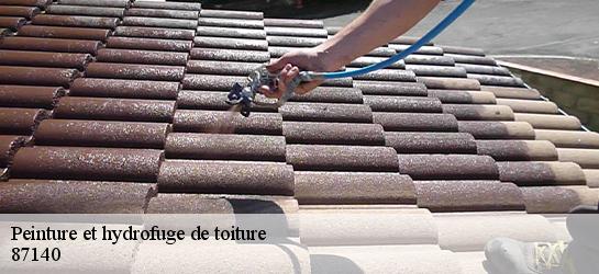 Peinture et hydrofuge de toiture 87140