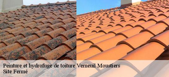 Peinture et hydrofuge de toiture  87360