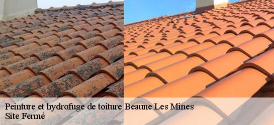 Peinture et hydrofuge de toiture  87280