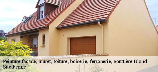 Peinture façade, muret, toiture, boiserie, ferronerie, gouttière 87300