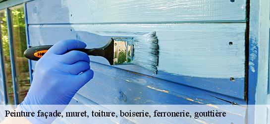 Peinture façade, muret, toiture, boiserie, ferronerie, gouttière 87300