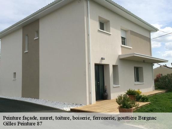 Peinture façade, muret, toiture, boiserie, ferronerie, gouttière burgnac-87800 Gilles Peinture 87
