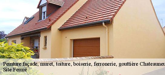 Peinture façade, muret, toiture, boiserie, ferronerie, gouttière 87130