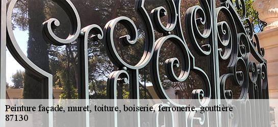 Peinture façade, muret, toiture, boiserie, ferronerie, gouttière 87130